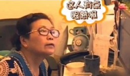 搞笑明星爆料视频大全集,搞笑明星爆料视频大全集精彩回顾