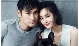 娱乐圈大瓜没爆料合集,揭秘隐藏的明星秘密