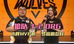 狼队小胖最新爆料视频,最新爆料视频背后的惊人内幕