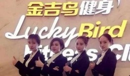 金吉鸟最新爆料