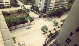 深圳公明最新爆料,揭秘神秘项目背后的真相