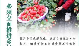 辉煌农村爆料视频,辉煌爆料视频深度解析