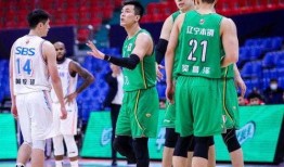 辽宁男篮最新爆料,揭秘球队备战新赛季的幕后故事