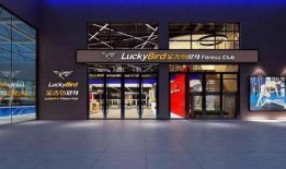 金吉鸟最新爆料