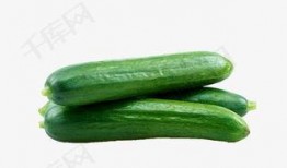 吃瓜视频锦集免费观看全集,免费畅享精彩瞬间全集回顾