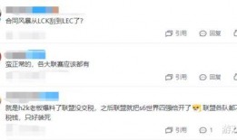 柯冉爆料原视频,背后真相令人震惊