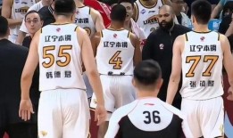 辽宁男篮最新爆料,揭秘球队备战新赛季的幕后故事
