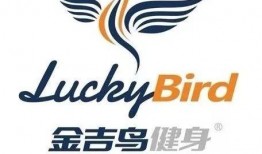 金吉鸟最新爆料