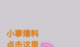 今日莞事爆料热线电话,揭秘城市脉搏，倾听市民心声