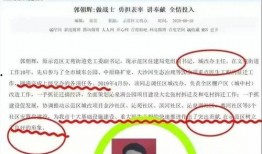 郭主任最新爆料视频,揭秘事件背后惊人真相