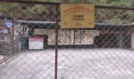 爆料救助小动物视频下载,揭秘救助小动物的感人瞬间