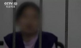 青海女子爆料事件始末视频,真相与争议交织的舆论漩涡
