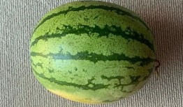 世界各地吃瓜爆料视频,短视频时代的全民娱乐盛宴