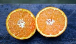 橙子吃瓜娱乐,揭秘娱乐圈幕后故事