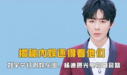 关于娱乐圈的爆料电视剧