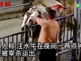 牛队爆料视频,精彩瞬间与幕后故事