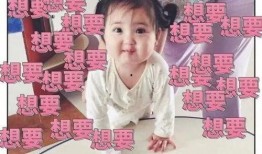 发财的吃瓜日记免费阅读