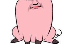 娱乐爆料猪头表情包